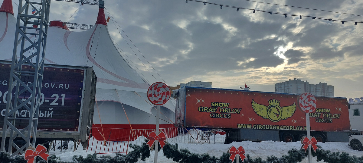  Почему-то такое соседство с ТЦ как-то разрешили сделать "дозволенным", хотя вроде как недалеко и дети, и вообще продажа еды. А может именно из-за еды для подневольных жителей цирка так и сделали.