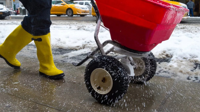 В Выборге требуют отказаться от реагентов в пользу безопасных методов борьбы с гололедом