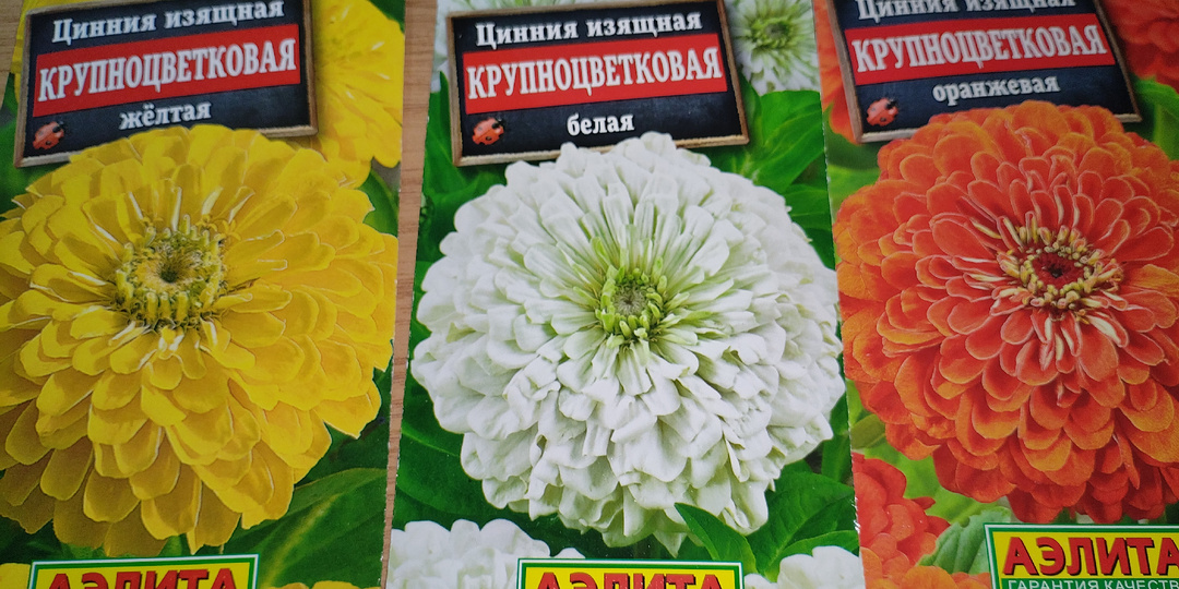 Обзор семян на 2026 год. ( цветы)