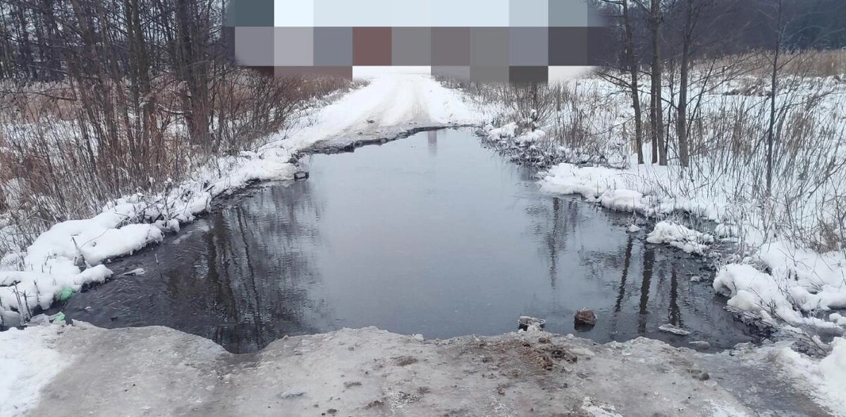    Фото: комментарии под публикацией Вячеслава Гладкова