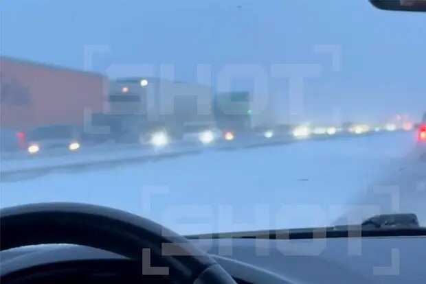    Фото: lenta.ru Мария Михайлова