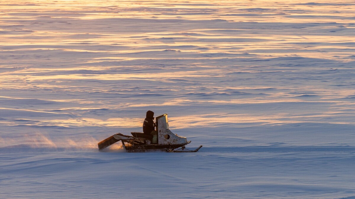    Фото: Федор Воронов / «Ямал-Медиа»