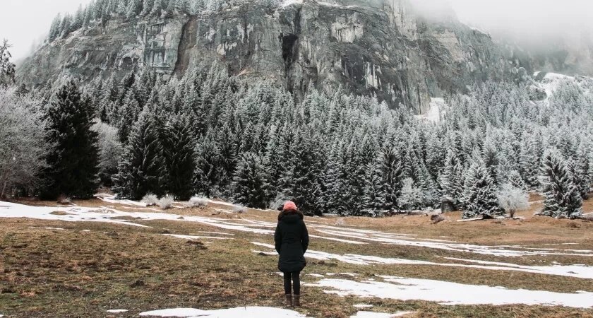    Изображение от wirestock на Freepik