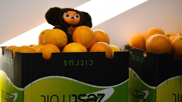    © РИА Новости . Владимир Астапкович