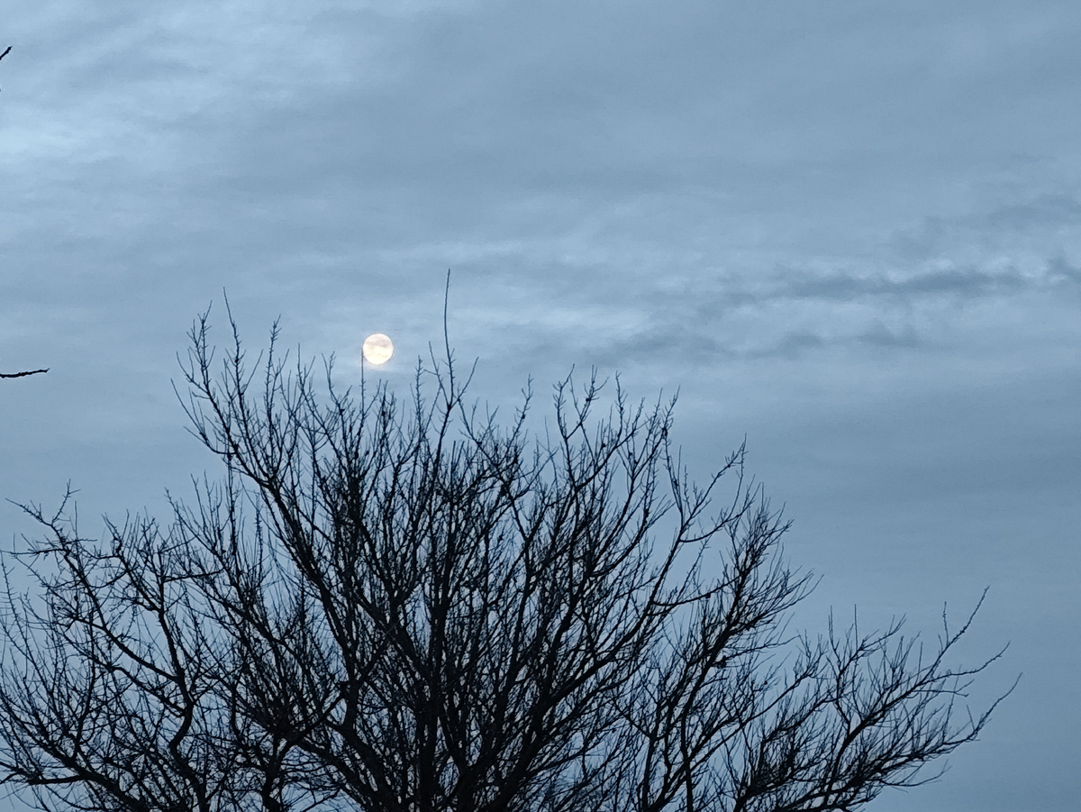 Восхода солнца не видно, зато закат луны шикарный.