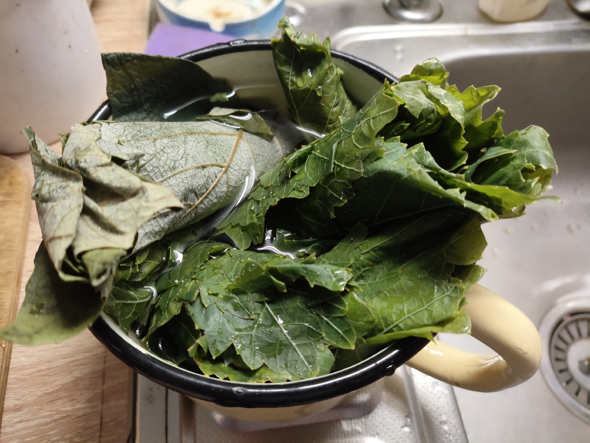 Листья всегда размораживаю в воде