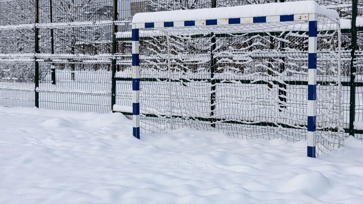    Фото: Oleg Opryshko / Shutterstock / Fotodom