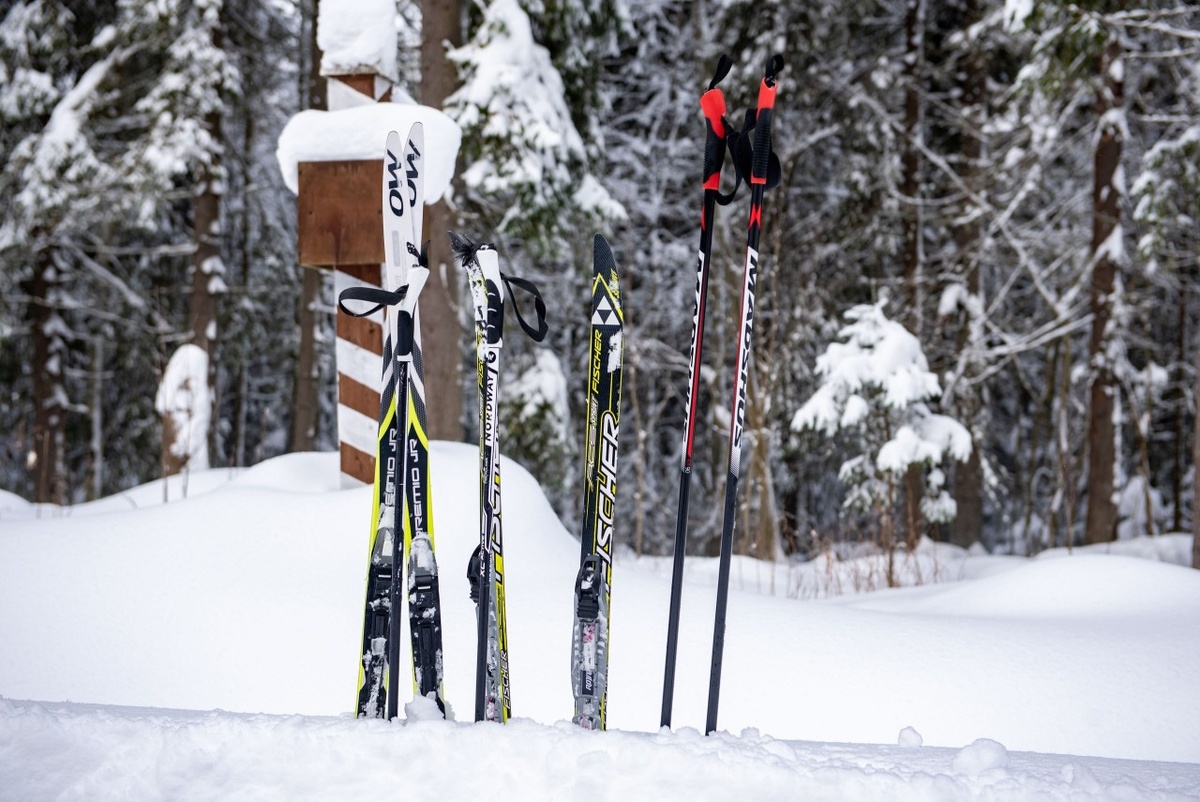    "Нетающая лыжня". Фото: "Республика" / Лилия Кончакова