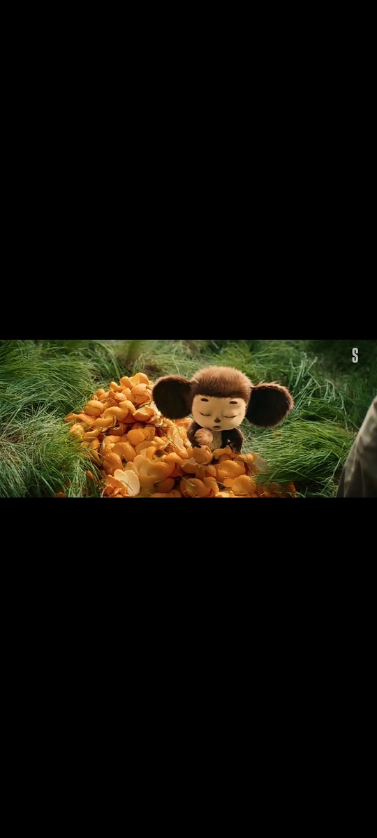 Чебурашка уплетает апельсины. Питается только ими. 