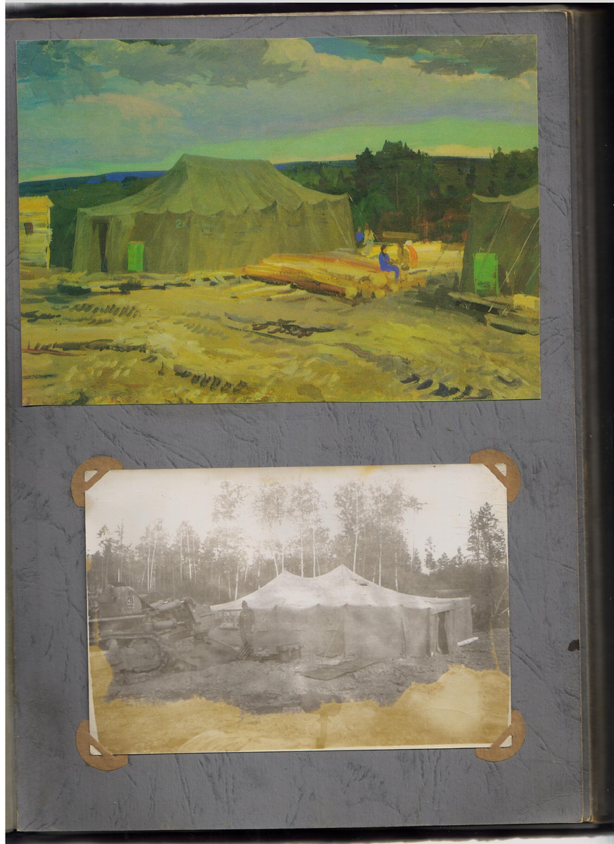 Фото от подписчика.