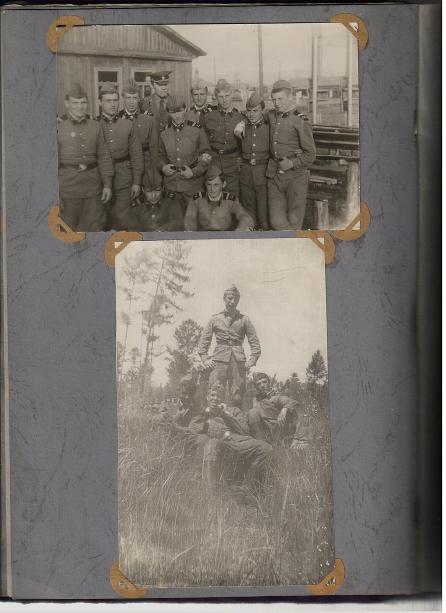 Фото от подписчика.