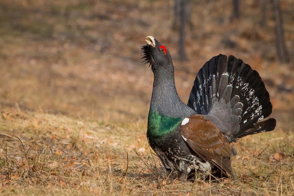 Фото с сайта: https://crosti.ru/patterns/view/2513466