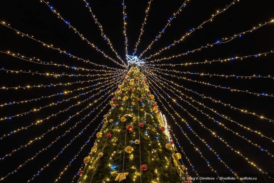    Фото: Олег Димитров / "Городские вести"