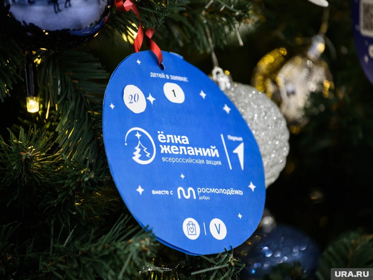     Шумков завершил акцию «Елка желаний»