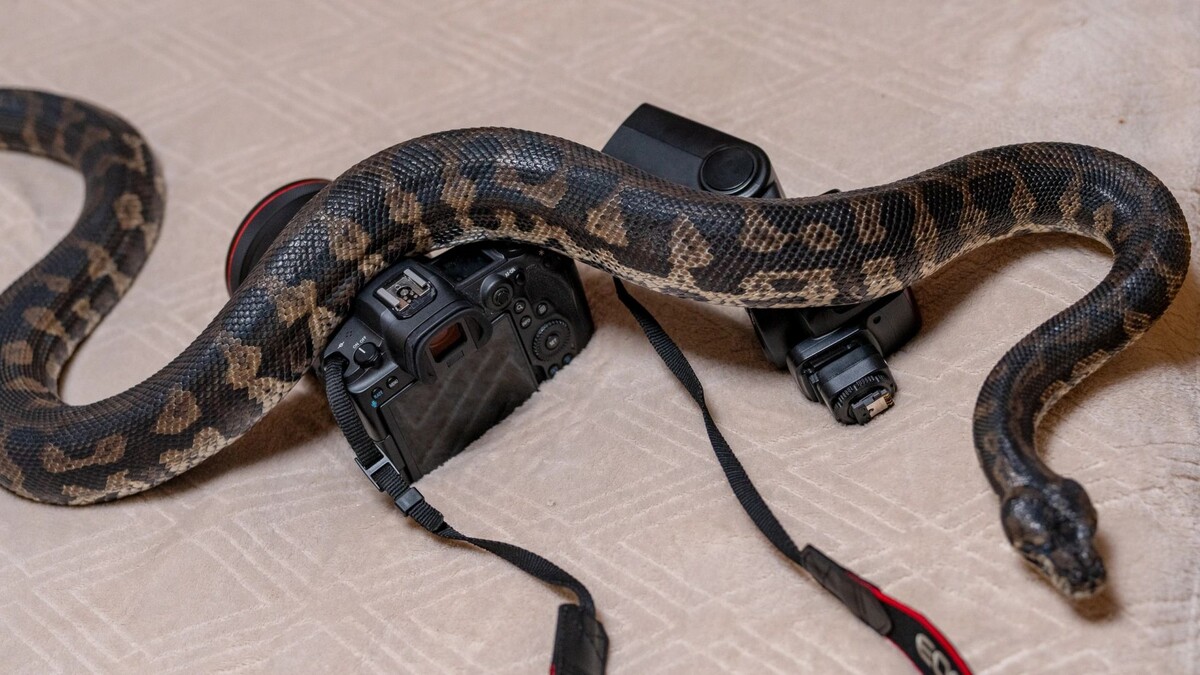    Фото: Сергей Зубков / «Ямал-Медиа»