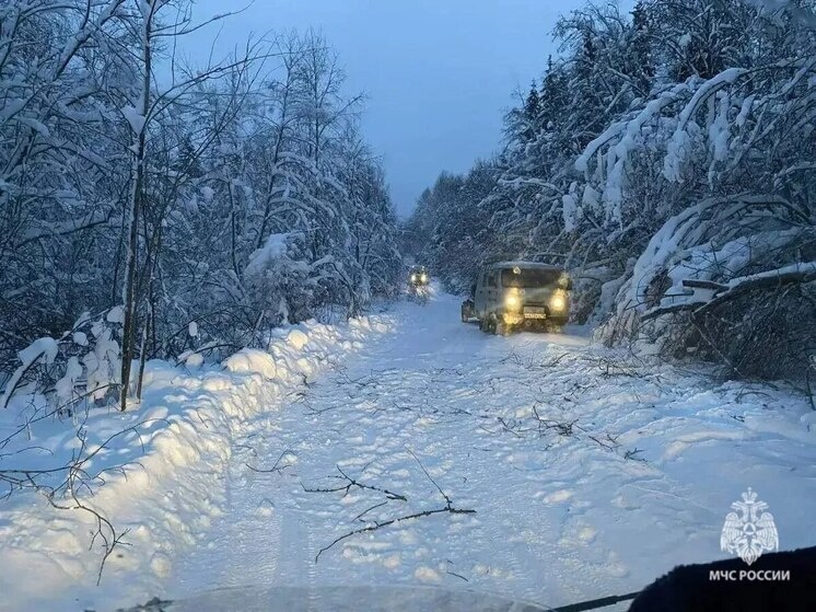     Спасатели продолжают оказывать помощь населению. Фото: пресс-служба МЧС по Новгородской области