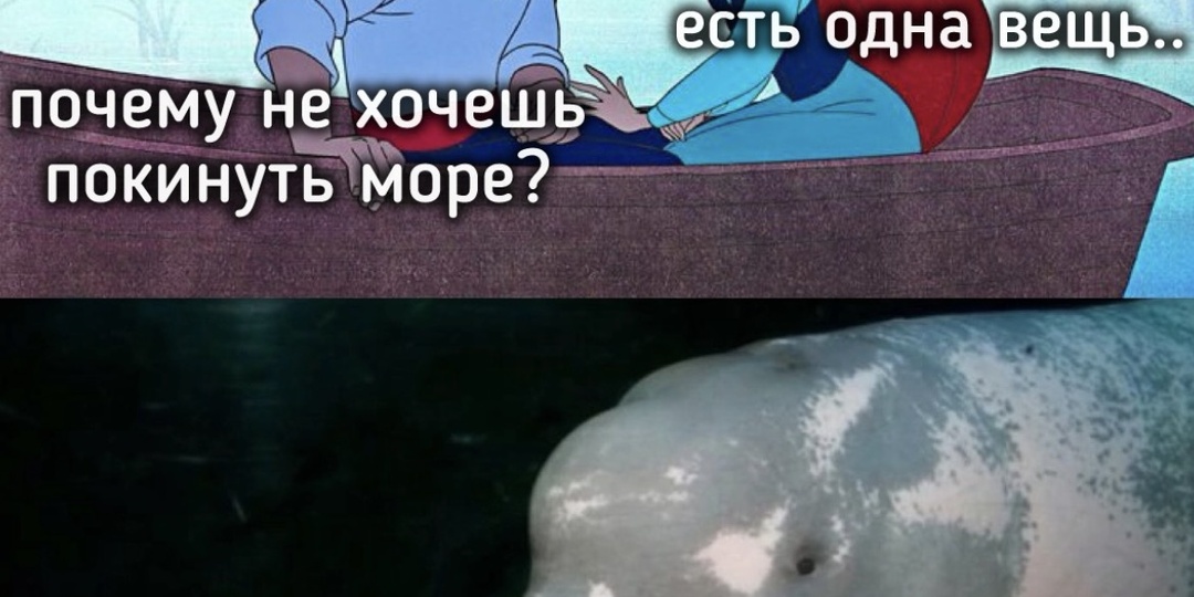 Как юмор помогает успокоиться? Веселая порция МЕМОВ! 🤣