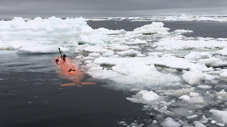    Фото: Global Look Press/Cover Images