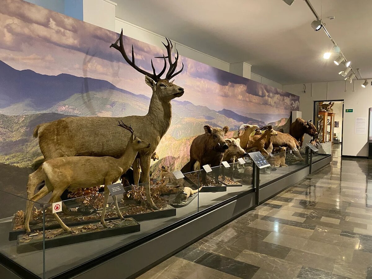 Грузинский национальный музей