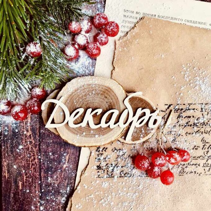 Фото взято из открытого источника