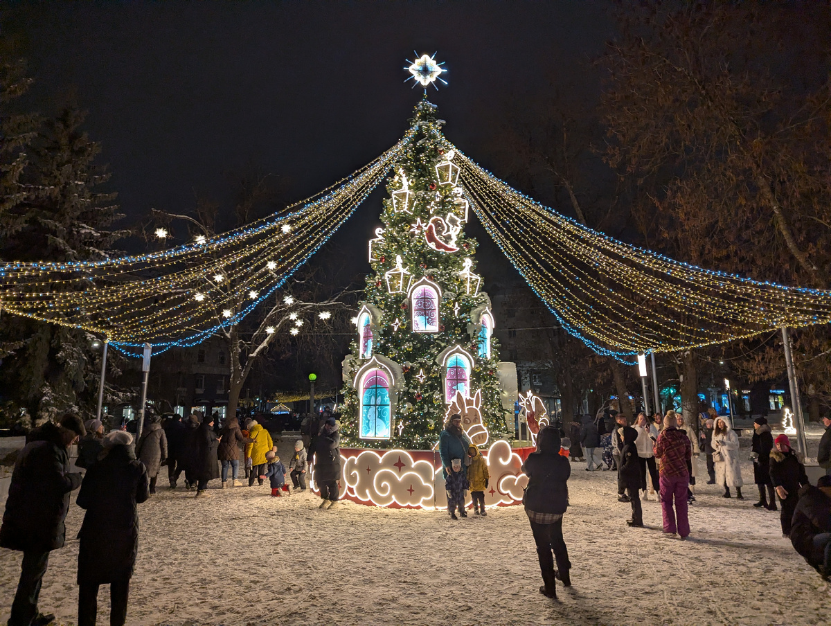 Елка для людей