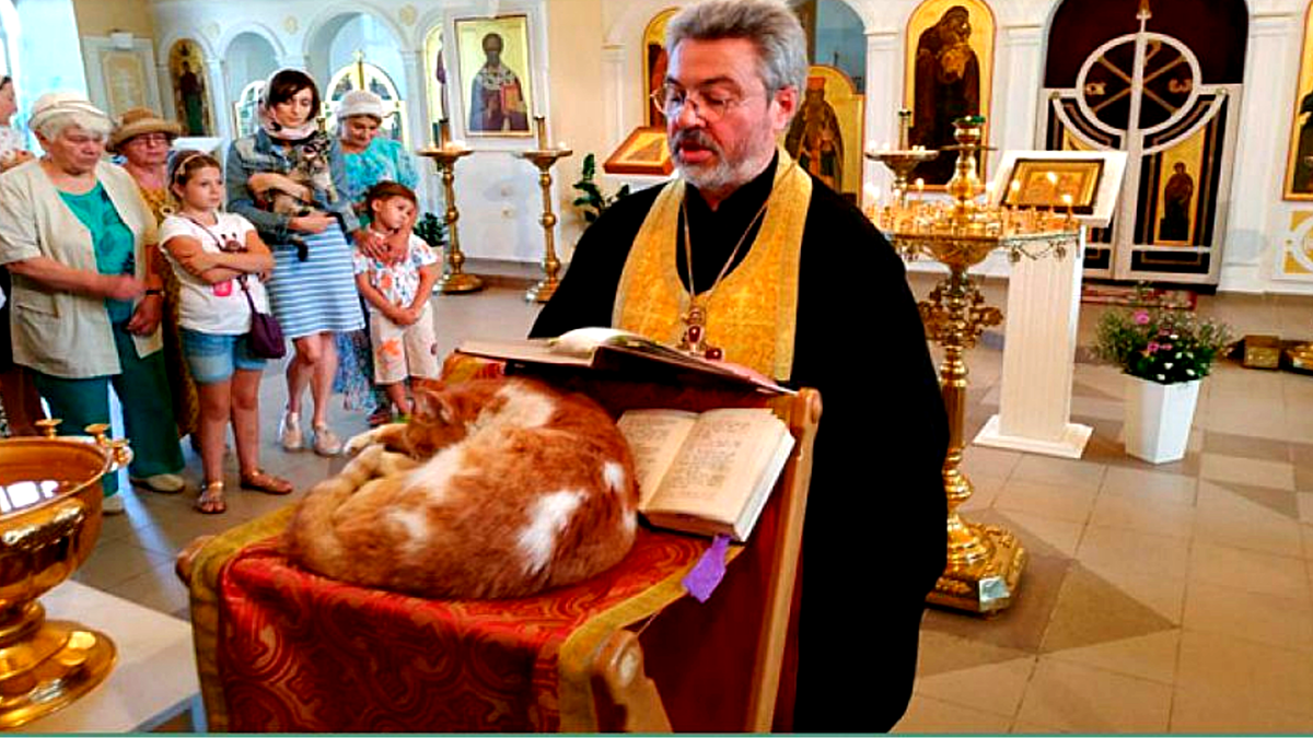 Протоиерей Петр Дынников совершает молебен, посвященный бездомным животным 