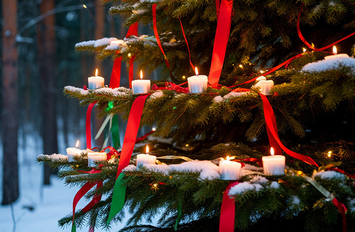    Фото: shedevrum.ai