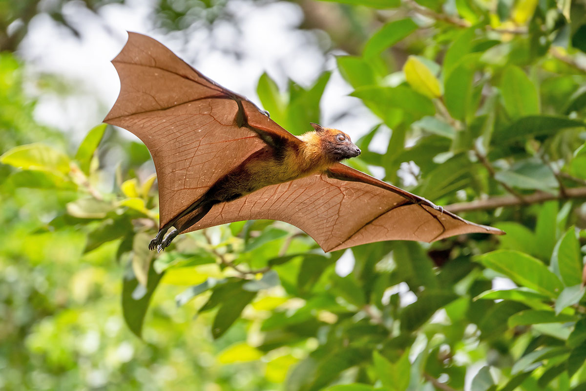 Фото с сайта: https://content.interestingfacts.com/seasons-facts/Zh16FlUveQAIX1Mr