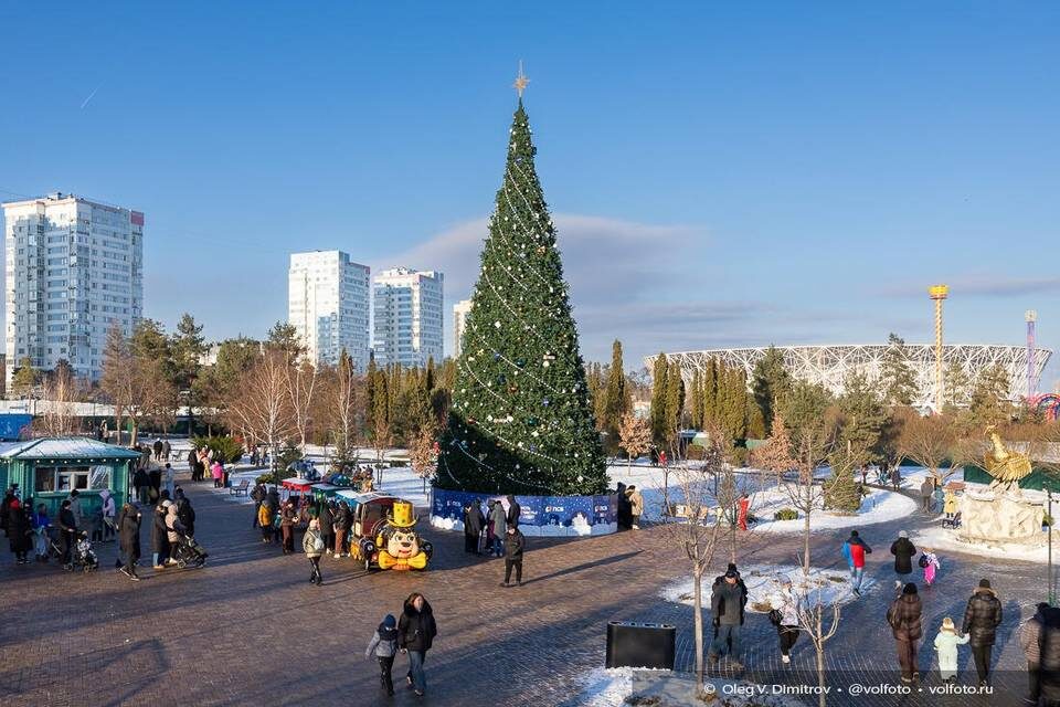    Фото: Олег Димитров / "Городские вести"