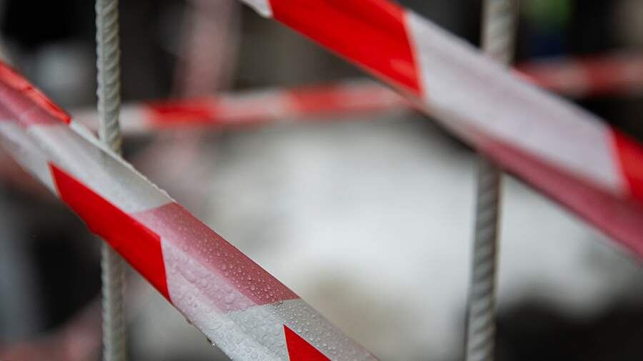    Фото: ИЗВЕСТИЯ/Телеканал «78»