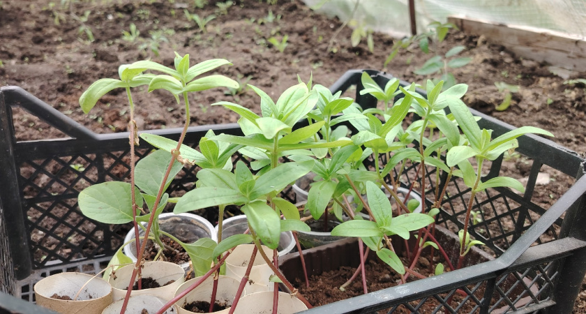    фото из архива редакции