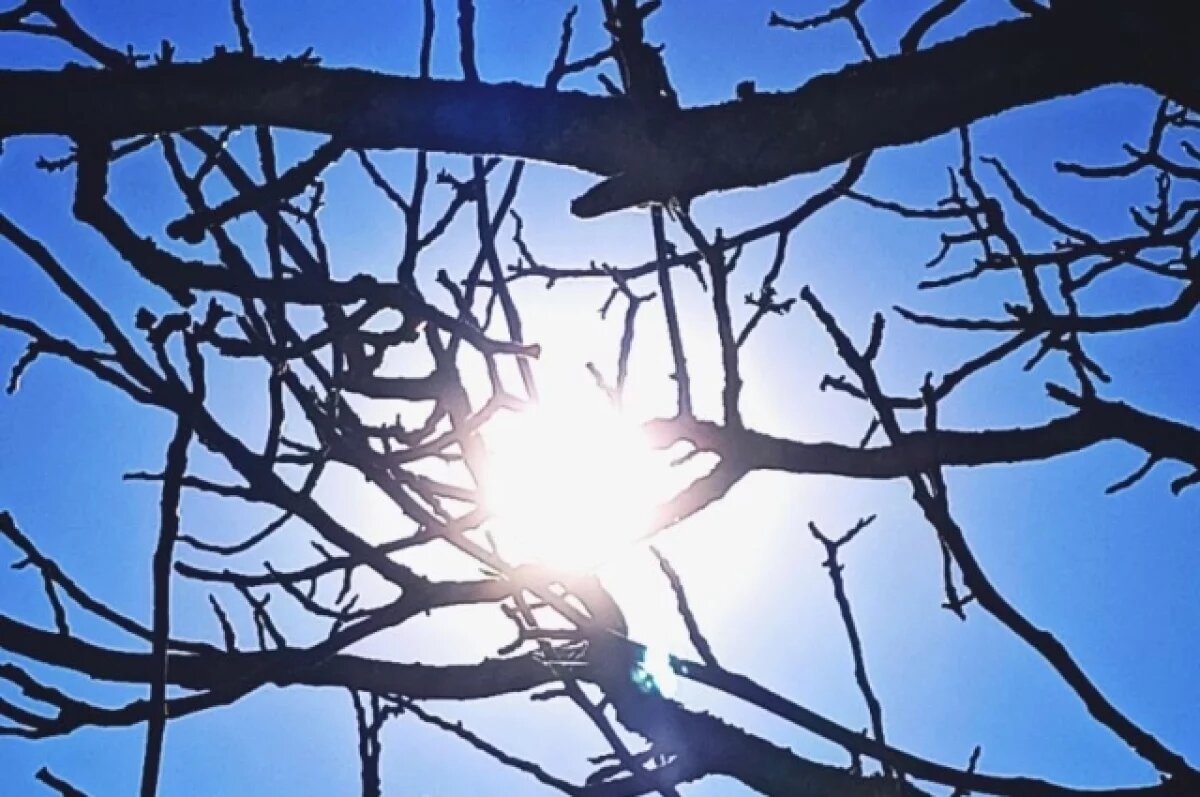    В Краснодарском крае синоптики спрогнозировали потепление до +15