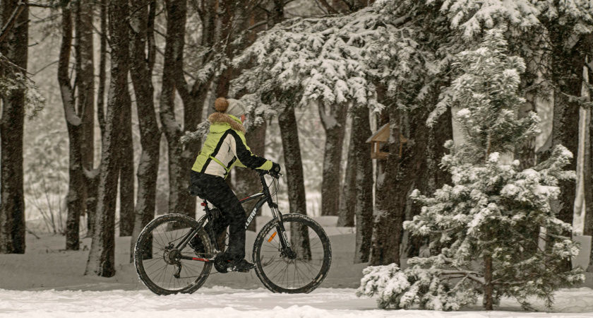    Фото: Нонна Кондакова