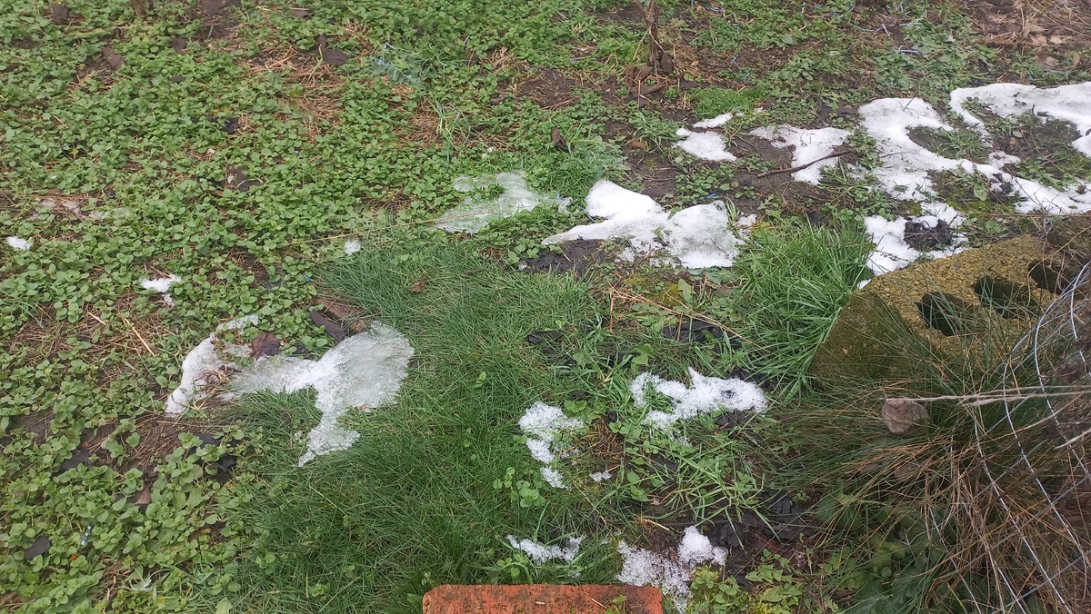 К вечеру и от них не осталось и следа. Все фото в статье сделаны автором и принадлежат ему на условиях авторского права ©