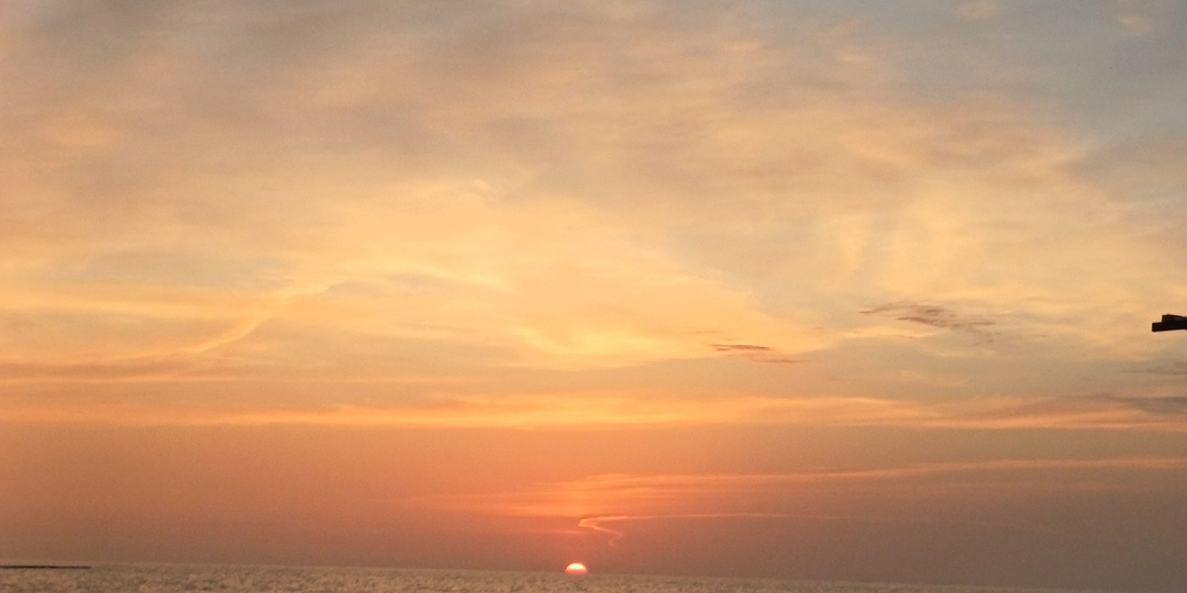 высокого, ухоженного мужа, трудно удержать в семье. (1)