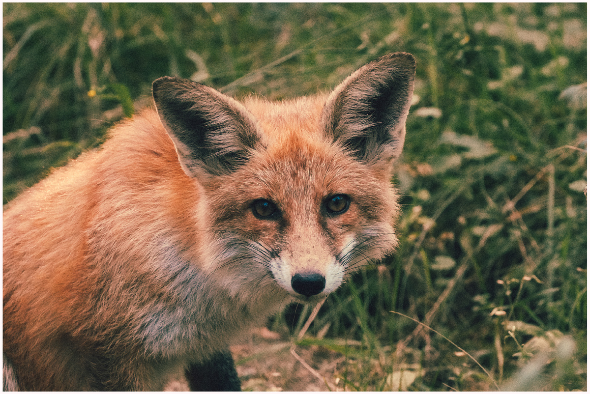 Фото: Михаил Рябинин | RЯ