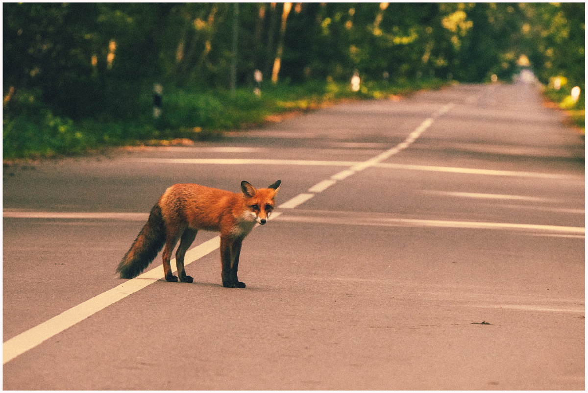 Фото: Михаил Рябинин | RЯ