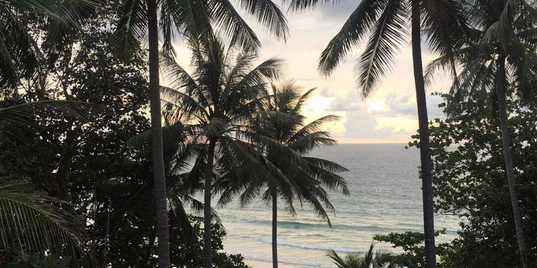 Мечты о Таиланде обернулись депортацией для нижегородца