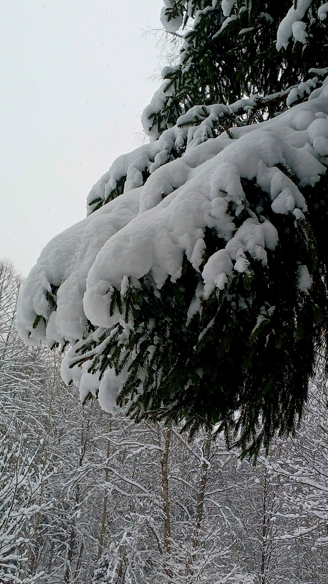 Автор фотографии - Татьяна Федотова