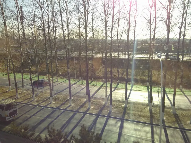 Ещё не Великая зелёная стена. 