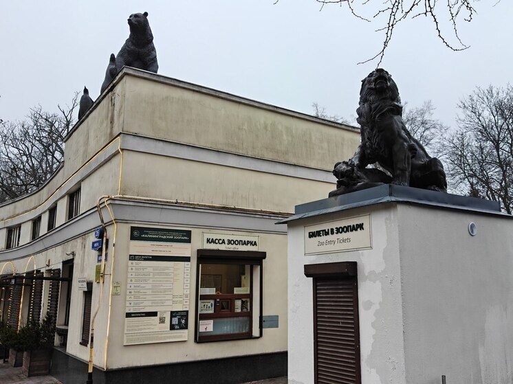     Фото: архив «МК в Калининграде».