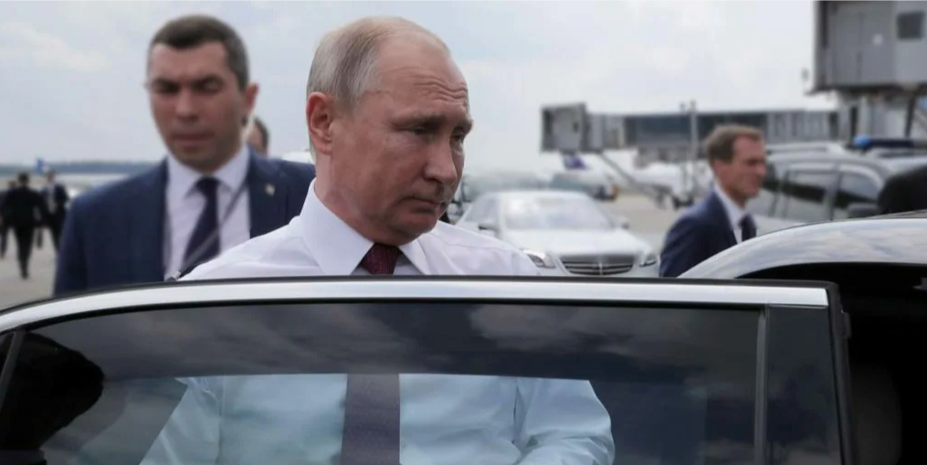 (фото из открытых источников)