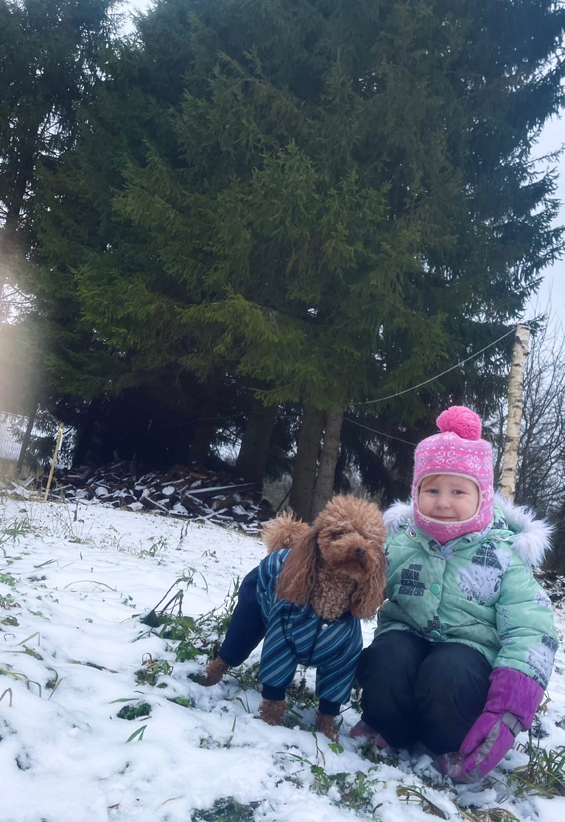 Абрикос и Василёк