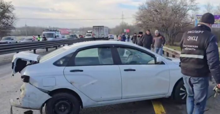 Иллюстрация: ГУ МВД РФ по РОСветлана Шевцова