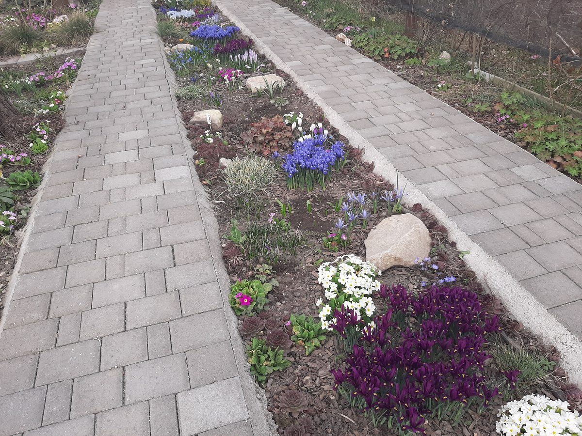 31 марта 2025 года