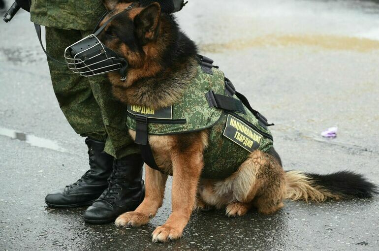   Игорь Самохвалов/«Парламентская газета»