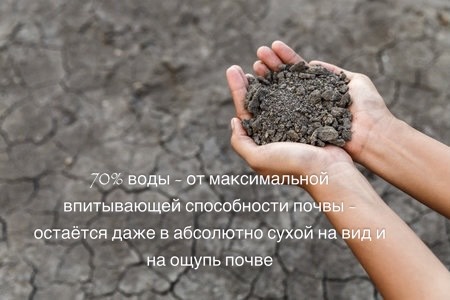 Даже сухая почва содержит не мало влаги