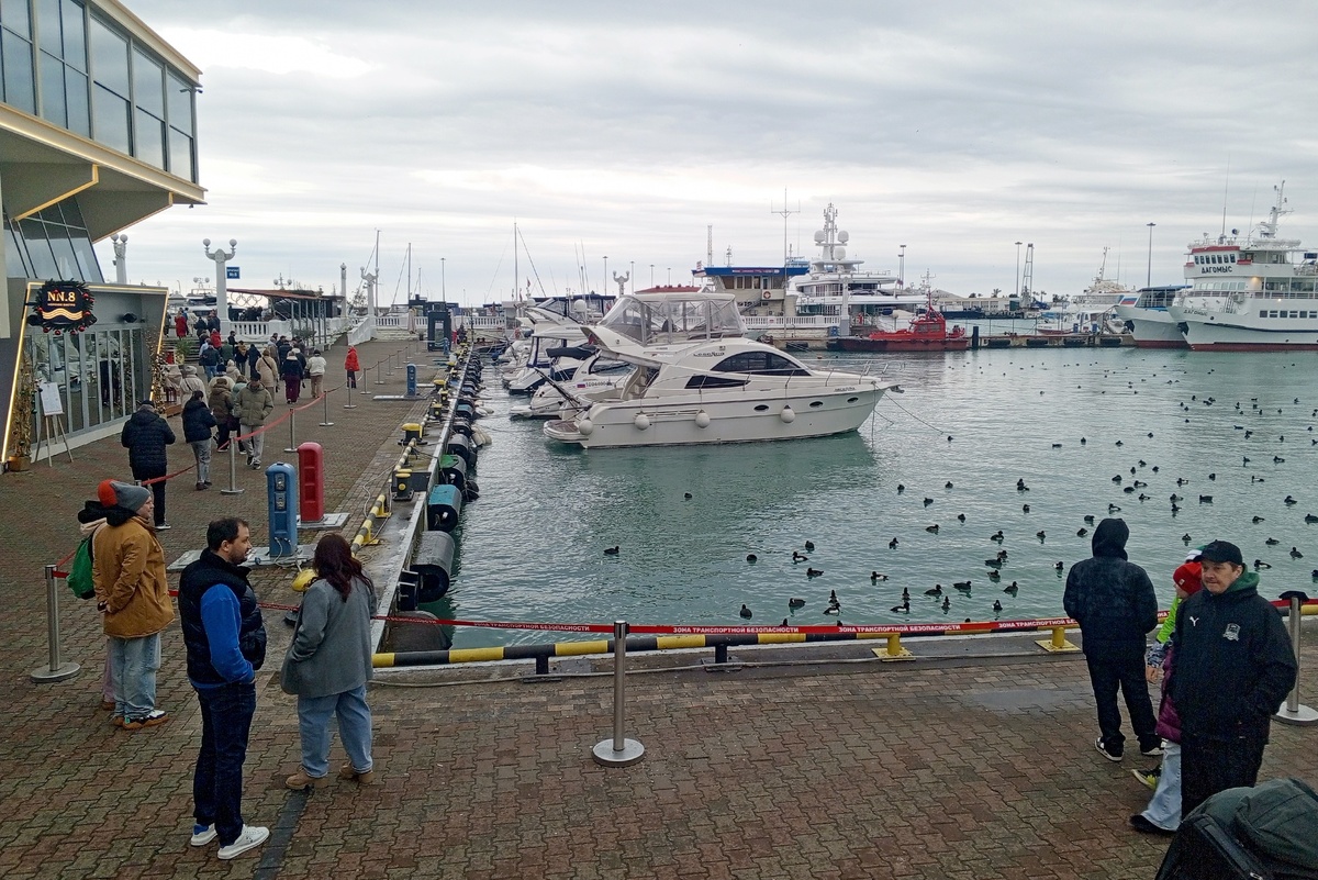    Ирина Белова