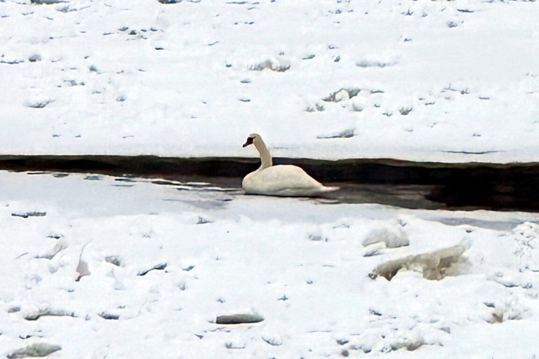    Фото: Наталья Андреева.