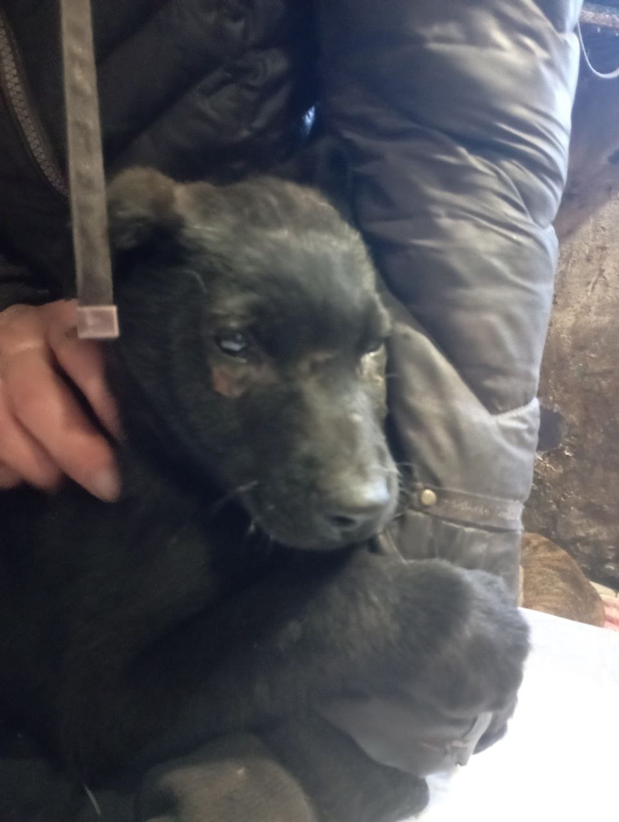 А вот и он...